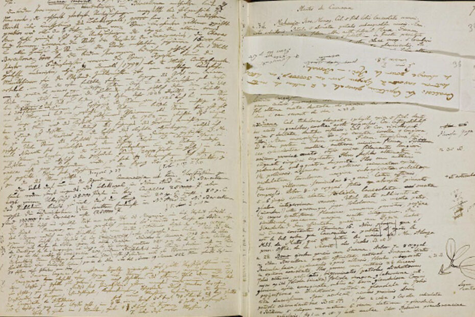 Pages from Alexander von Humboldt‘s American Travel Diaries 1799-1804: showing post-travel reflections pasted directly on top of on-site travel notations. Source: Berlin State Library/Prussian Cultural Heritage